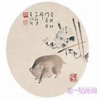 属猪微信吉祥头像图片