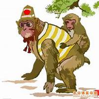 属猴好运微信头像图片