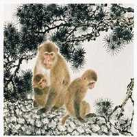 属猴好运微信头像图片