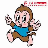 属猴的微信招财头像