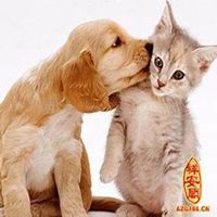 属猴的微信转运头像