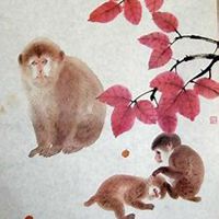 属猴的用什么微信头像