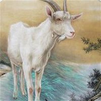 属羊带来好运微信头像