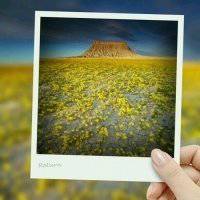 画中画自拍女生头像