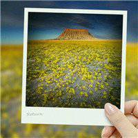 2018画中画头像带字唯美