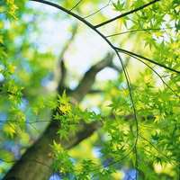 带守候星空头像