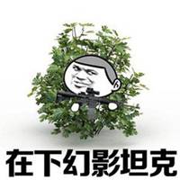 吃鸡头像图片大全