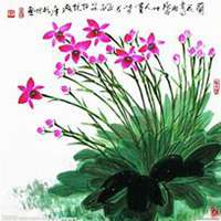 唯美好看兰花微信头像