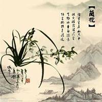 唯美好看兰花微信头像