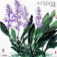 唯美好看兰花微信头像