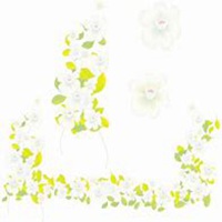 唯美好看兰花微信头像