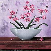 唯美好看兰花微信头像