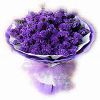 唯美好看勿忘我花朵微信头像