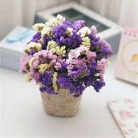 唯美好看勿忘我花朵微信头像