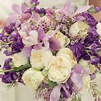 唯美好看勿忘我花朵微信头像