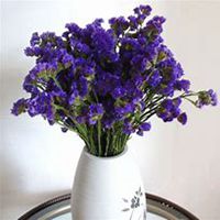 唯美好看勿忘我花朵微信头像