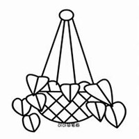 唯美好看吊兰微信头像