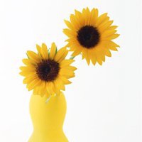 唯美好看向日葵微信头像