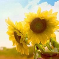 唯美好看向日葵微信头像