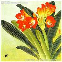 唯美好看君子兰微信头像