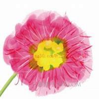 唯美好看含羞草微信头像