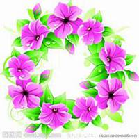 唯美好看喇叭花微信头像