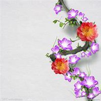 唯美好看喇叭花微信头像