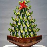 唯美好看富贵竹微信头像