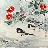 唯美好看山楂花微信头像