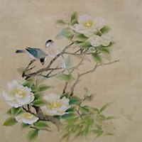 唯美好看山楂花微信头像