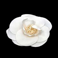 唯美好看山楂花微信头像