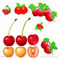 唯美好看山楂花微信头像