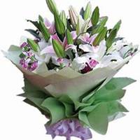 唯美好看康乃馨微信头像