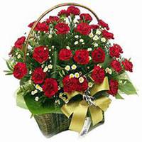 唯美好看康乃馨微信头像