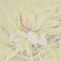 唯美好看昙花微信头像