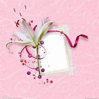 唯美好看春兰花微信头像