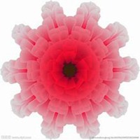 唯美好看曼陀罗花微信头像