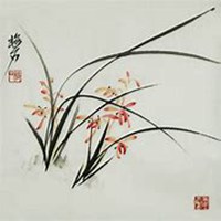 唯美好看月兰花微信头像