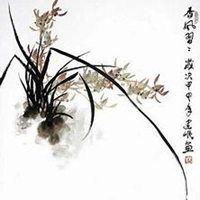 唯美好看月兰花微信头像