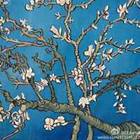 唯美好看杏花微信头像