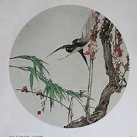 唯美好看杏花微信头像