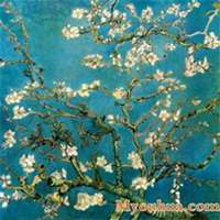 唯美好看杏花微信头像