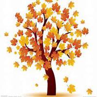 唯美好看枫树微信头像图片