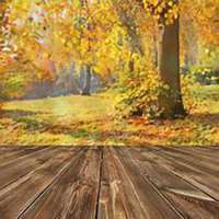 唯美好看枫树微信头像图片