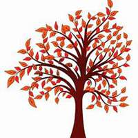 唯美好看枫树微信头像图片