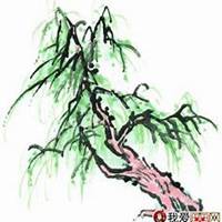 唯美好看柳树微信头像图片