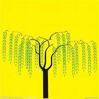 唯美好看柳树微信头像图片