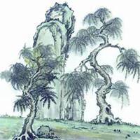 唯美好看柳树微信头像图片