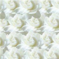 唯美好看栀子花微信头像