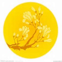 唯美好看桂树微信头像图片